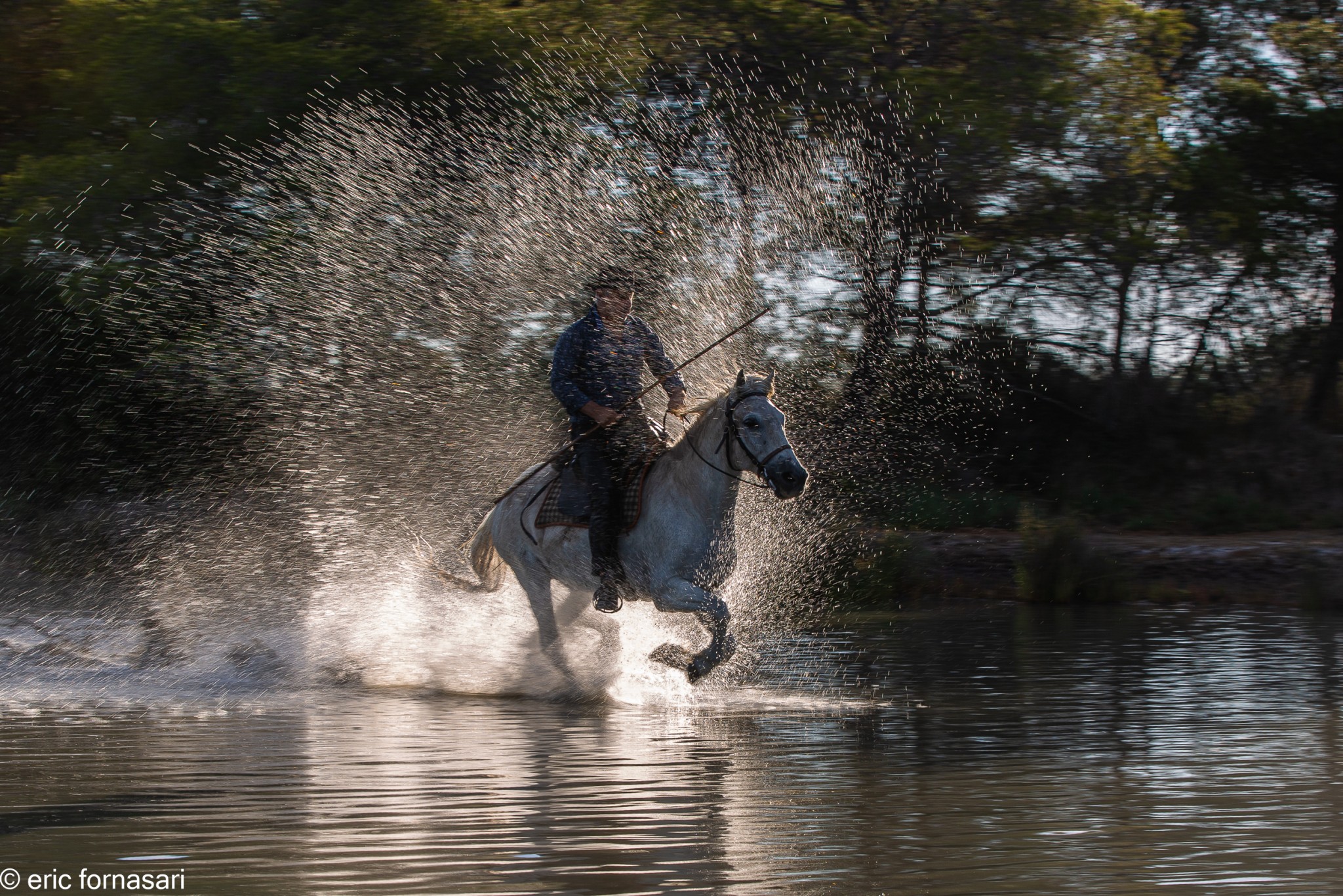 Camargue-2021-1270-26-juin-2021.jpg