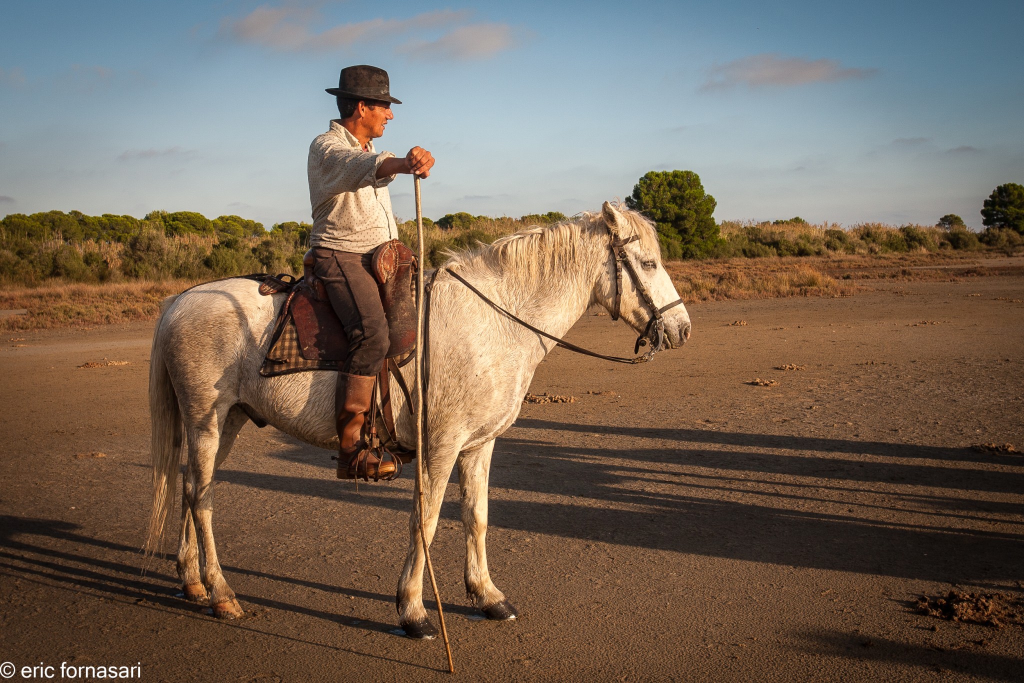 camargue-1260-11-octobre-2014.jpg