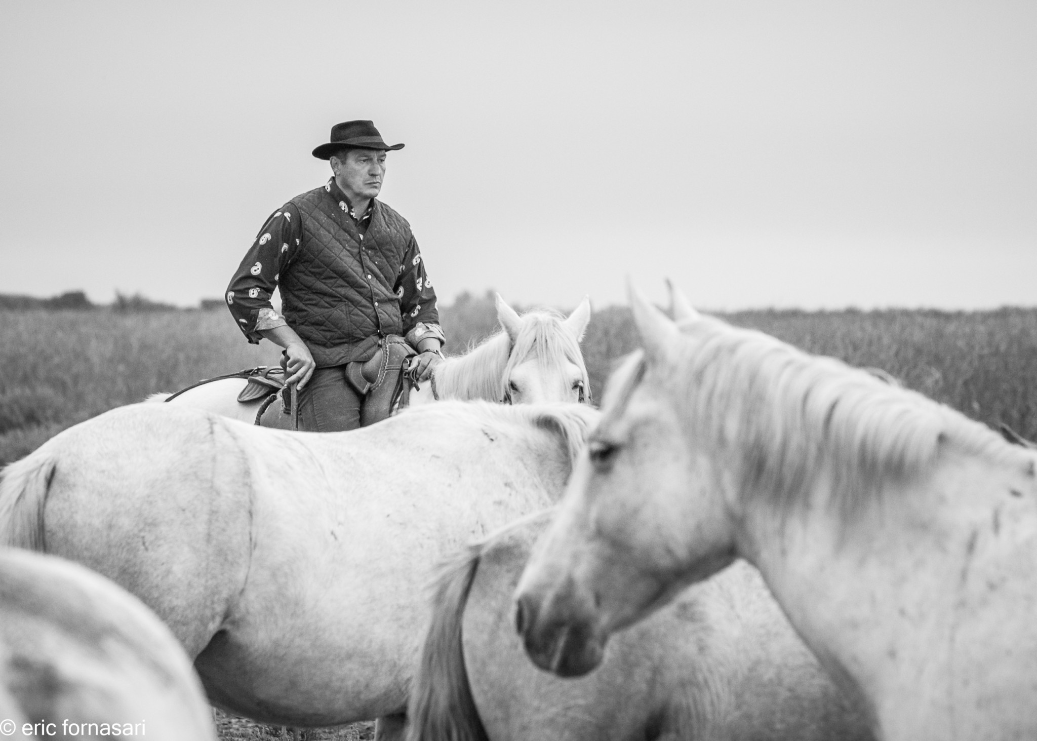 camargue-660-11-octobre-2014.jpg
