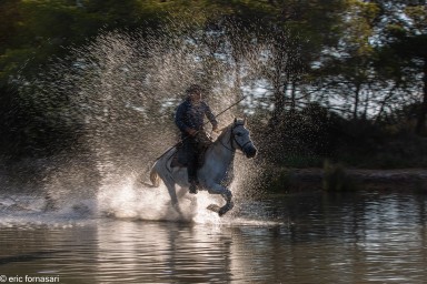 Camargue-2021-1270-26-juin-2021.jpg