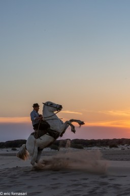 Camargue-2021-2136-26-juin-2021.jpg