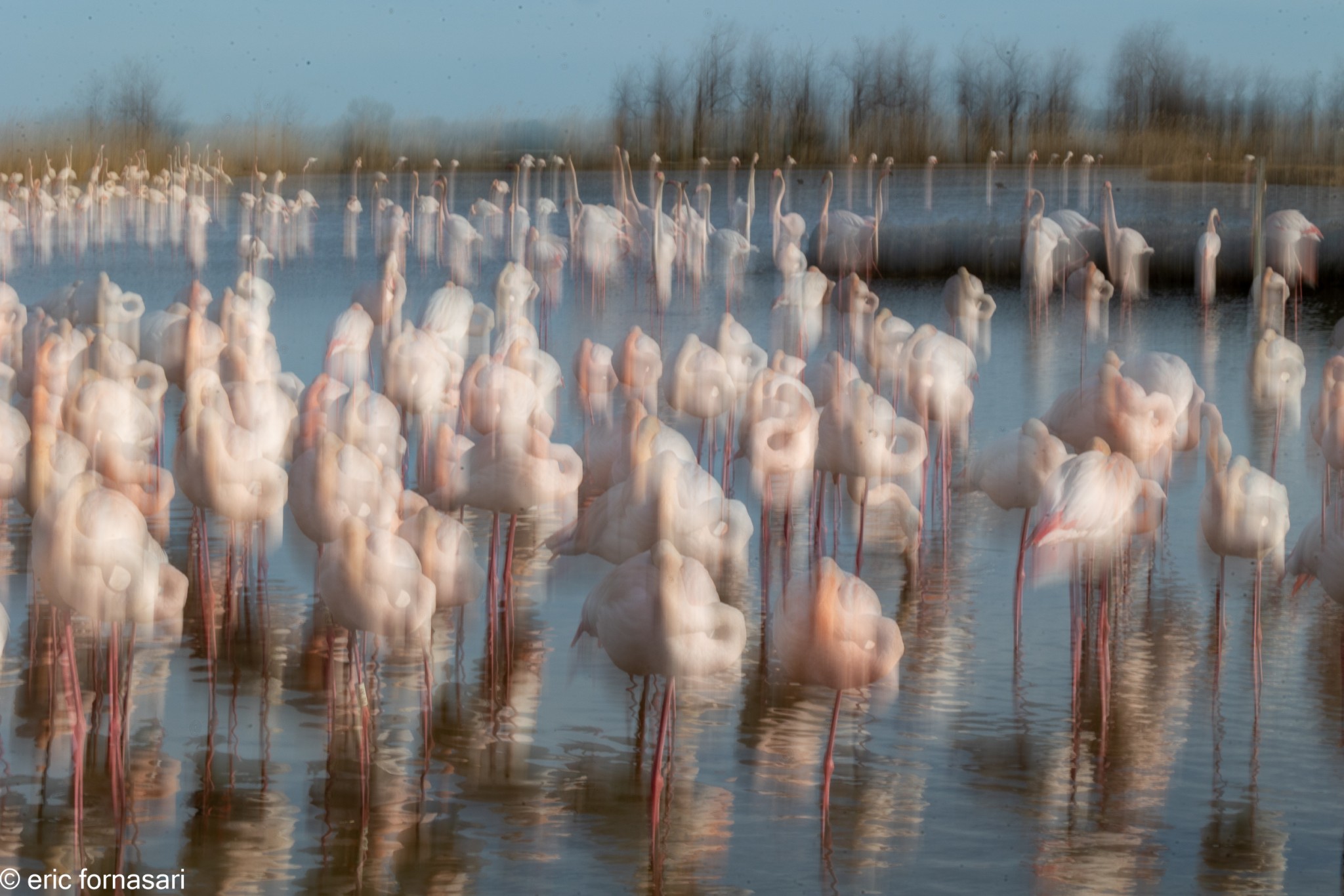 Camargue-février-2024-121-20-février-2024-1.jpg