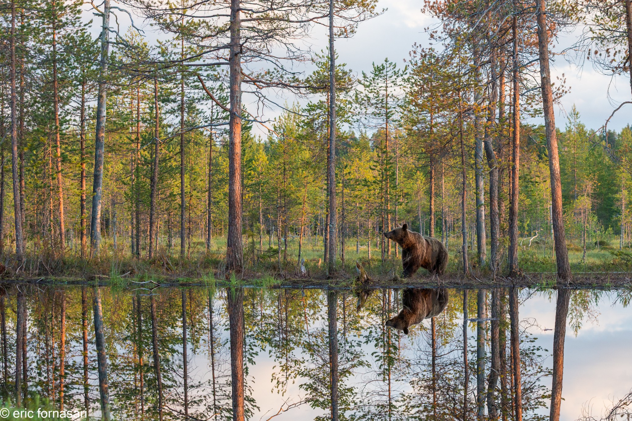 ours-10-juillet-2016-274-10.jpg