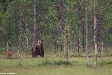 ours-09-juillet-2016-89-3.jpg