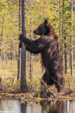 ours-10-juillet-2016-170-6.jpg
