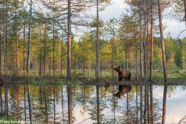ours-10-juillet-2016-274-10.jpg