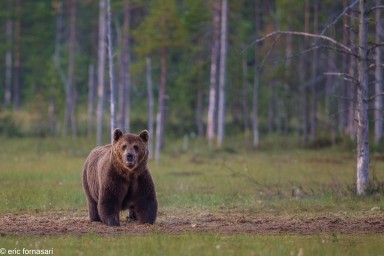 ours-11-juillet-2016-322-13.jpg