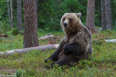 ours-12-juillet-2016-350-14.jpg