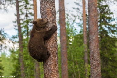 OURS