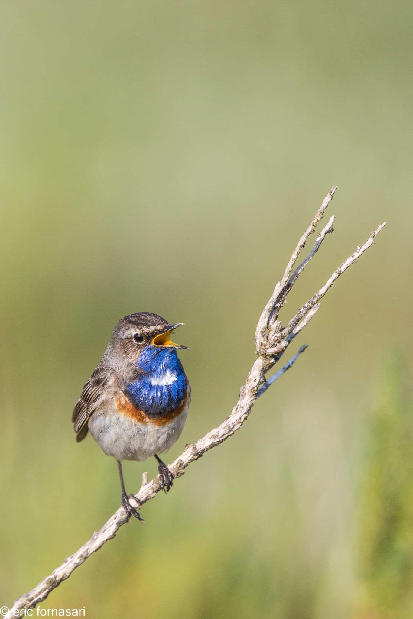 vendee-gorge-bleue-22-mai-2015-39.jpg