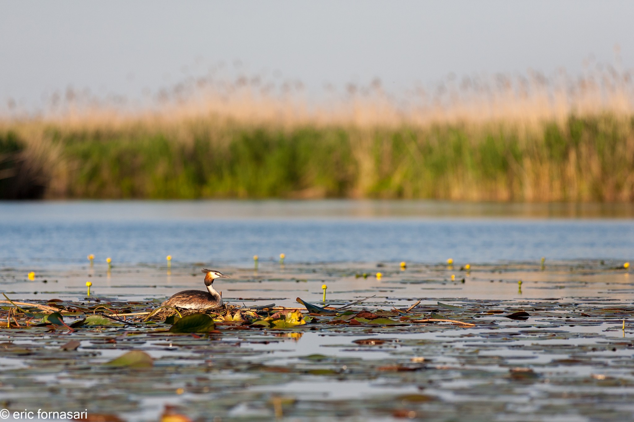 delta-danube-2014-224-16.jpg