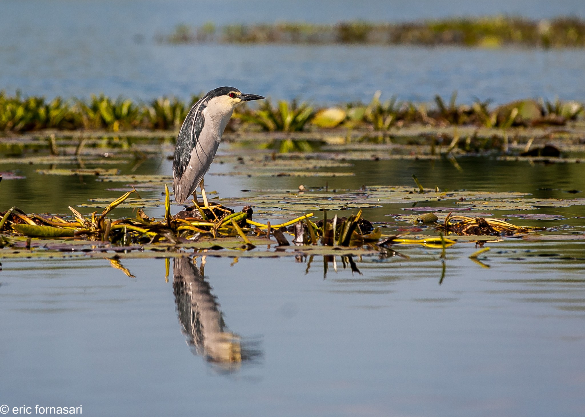 delta-danube-2014-353-3.jpg