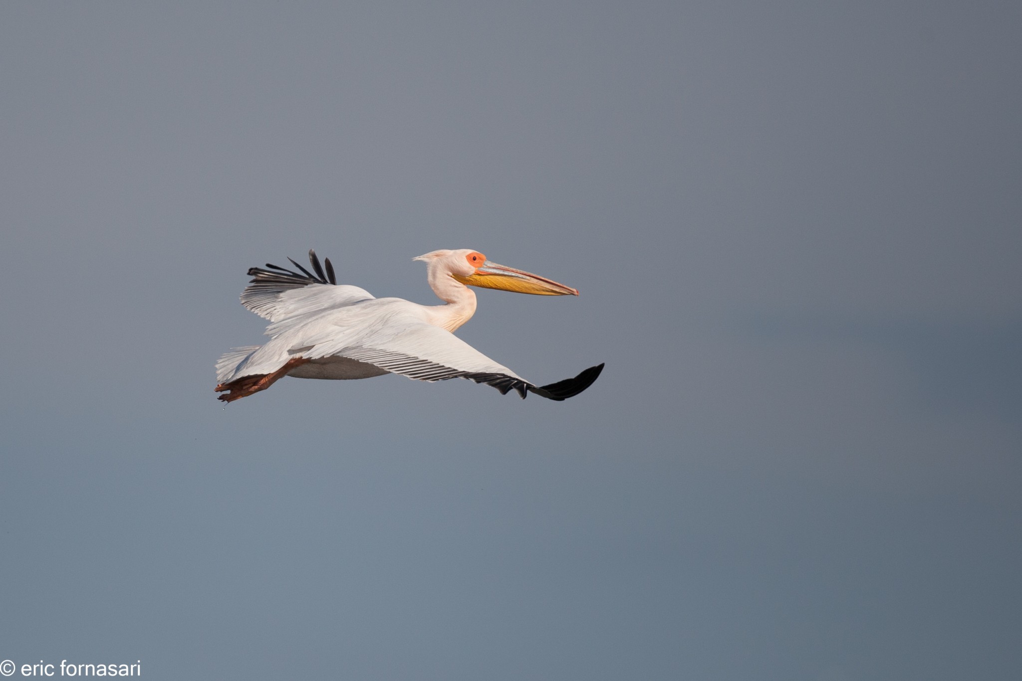 delta-danube-2014-413-22.jpg