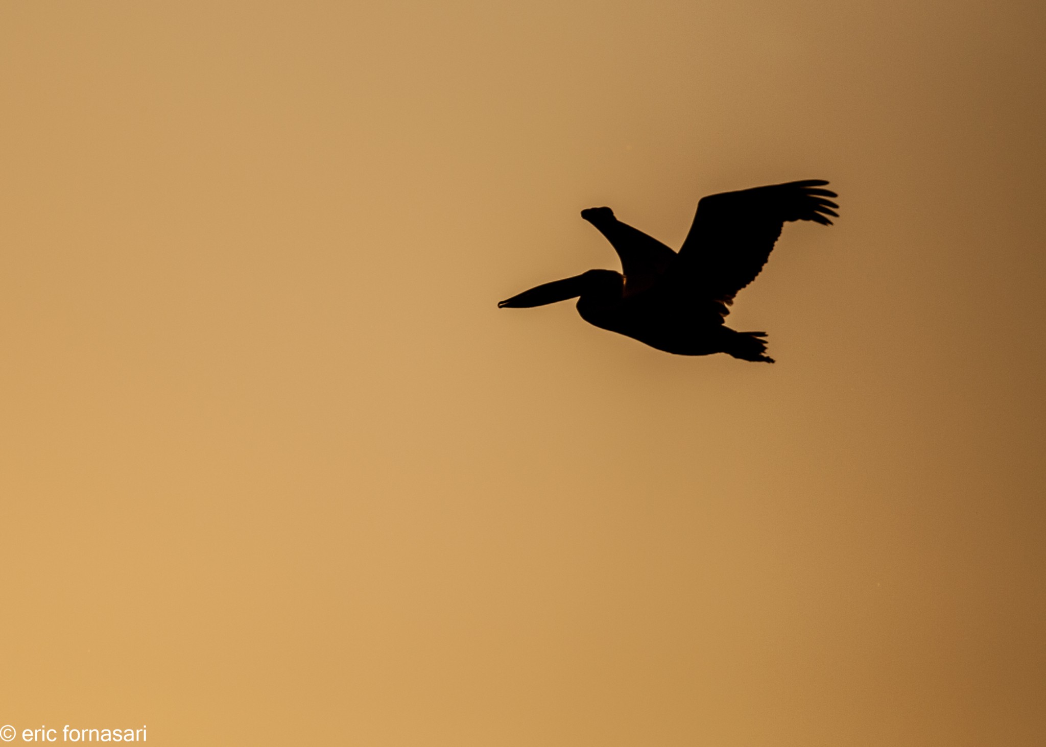 delta-danube-2014-610-29.jpg