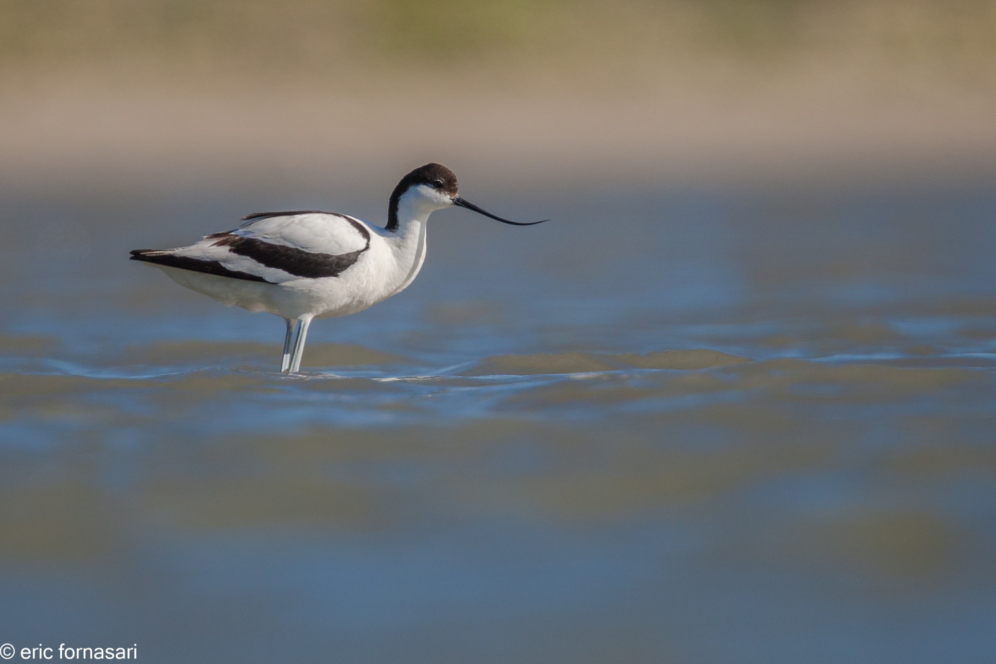 lagune-marais-mer-noir-2014-347-43.jpg