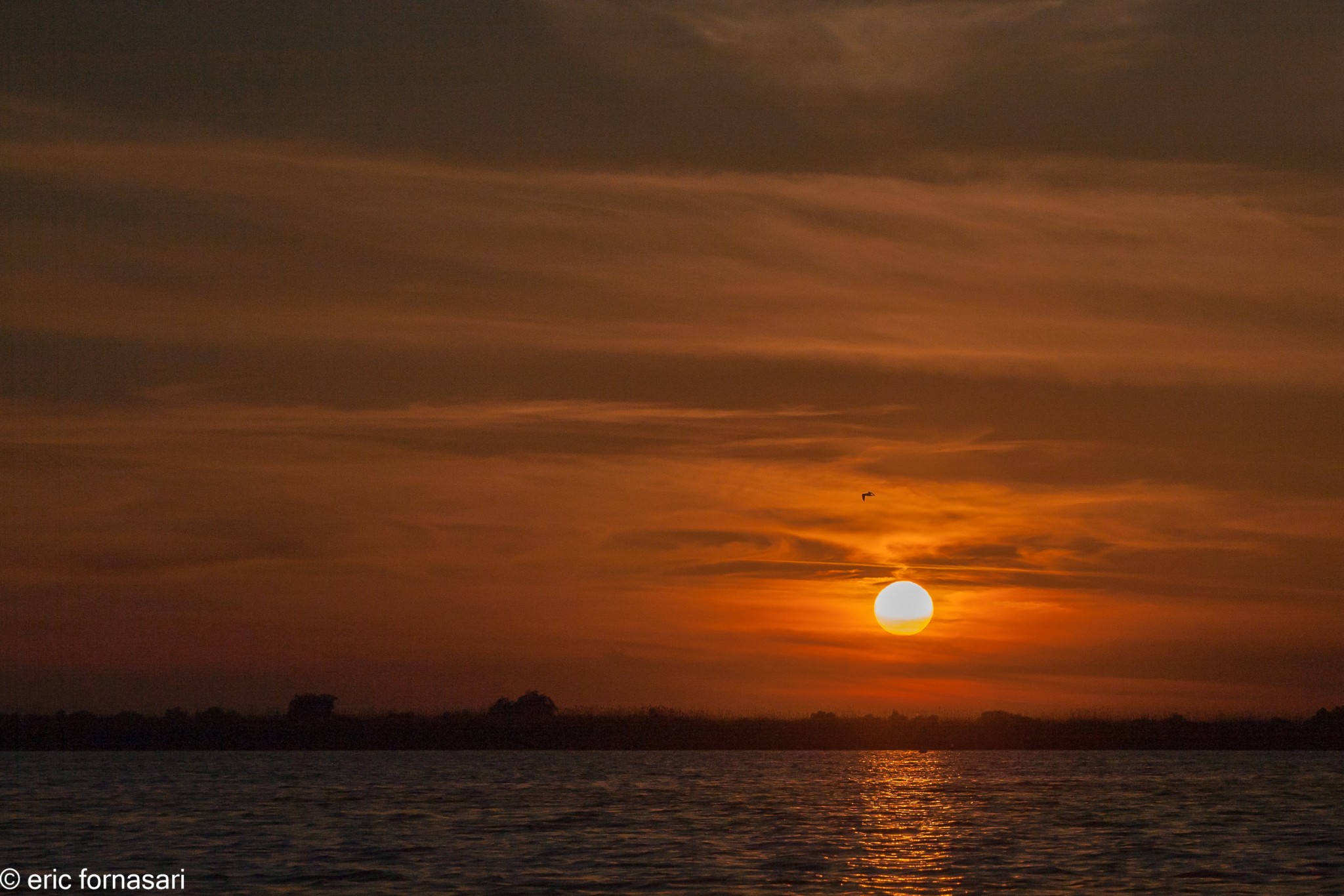 paysages-roumanie-2014-348-19.jpg