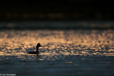delta-danube-2014-21-2.jpg