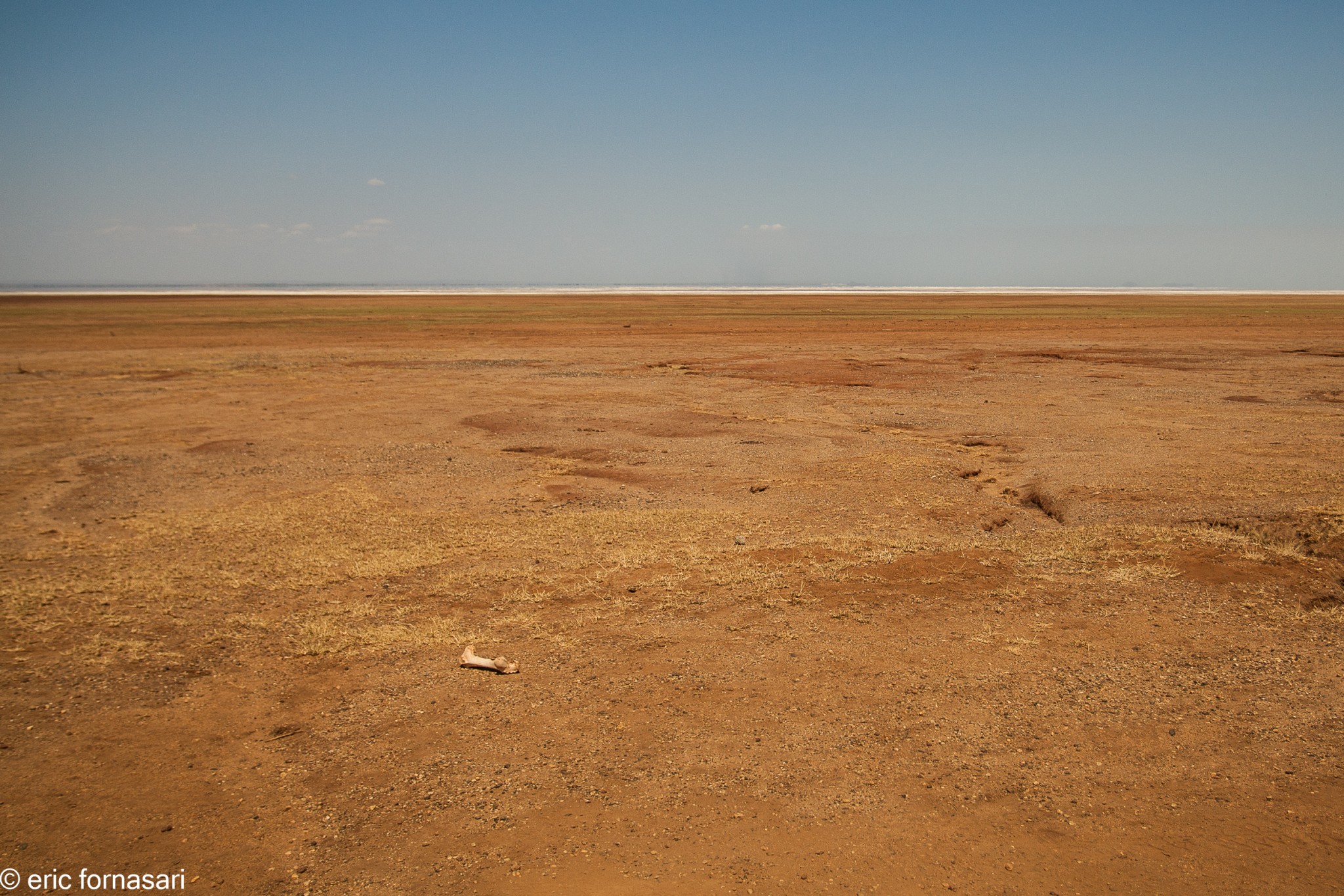 parc-de-manyara-16-juin-2011-39.jpg