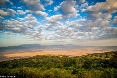 parc-du-ngorongoro-17-juin-2011-40.jpg