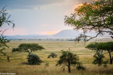 parc-du-serengeti-18-juin-2011-4-61.jpg
