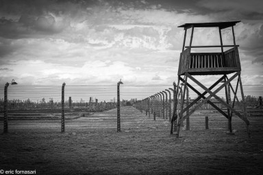 _M2A0962.jpg