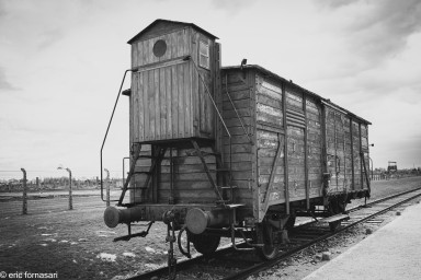 AUSCHWITZ-BIRKENAU