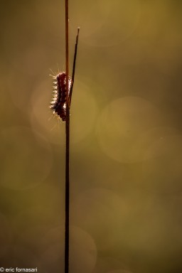 _M2A8906.jpg