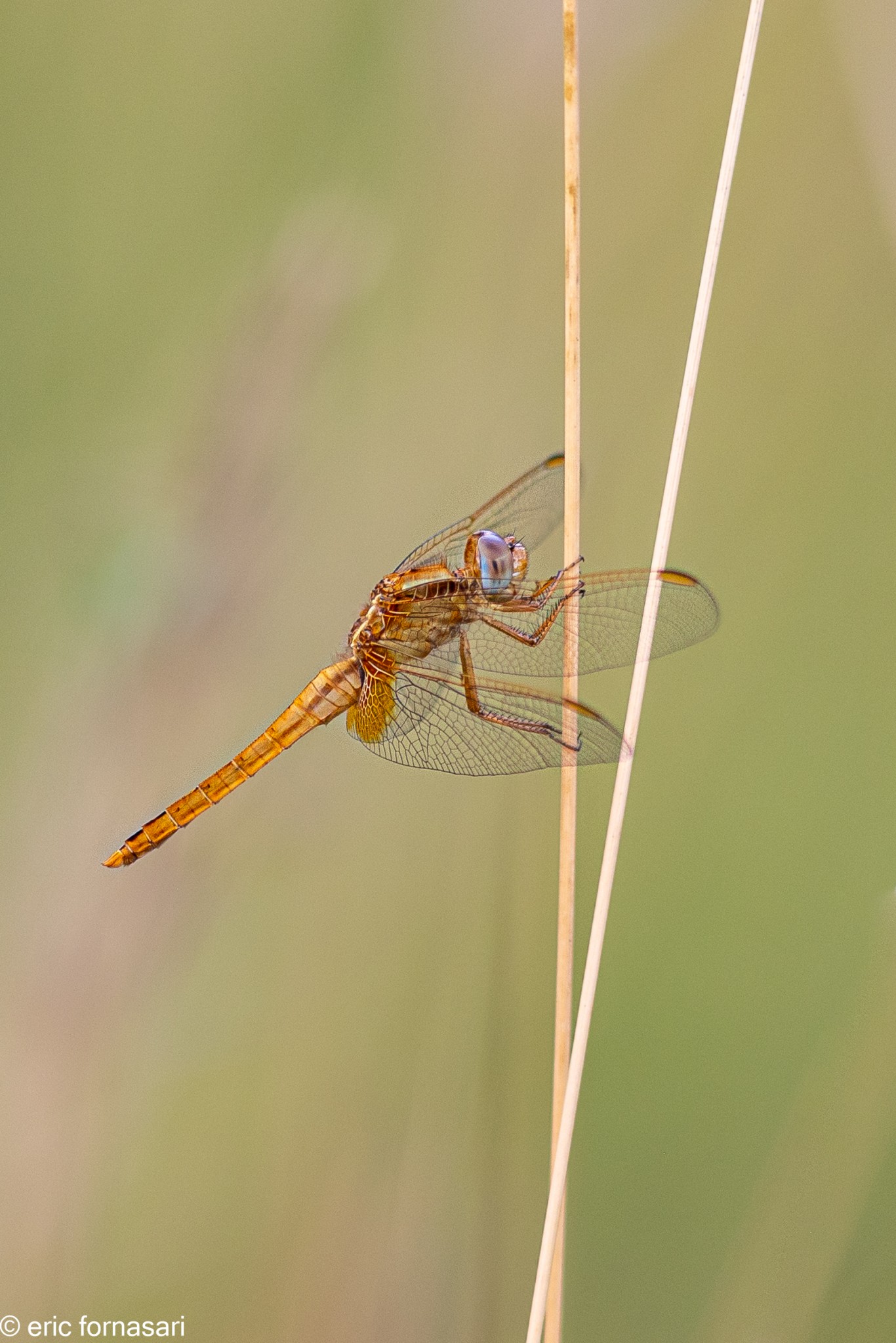 9B2A9099-17.jpg