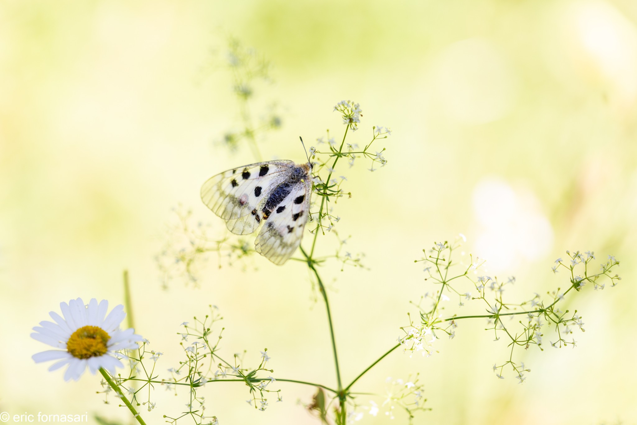 stage-macro-david-10-juillet-2019-132-17.jpg