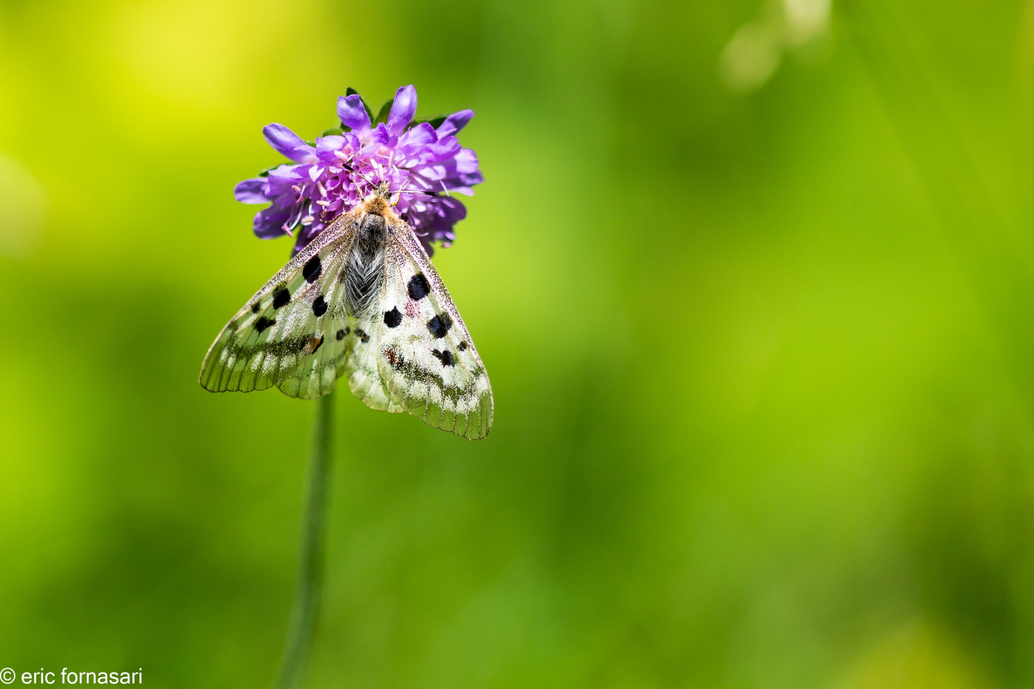 stage-macro-david-10-juillet-2019-81-15.jpg
