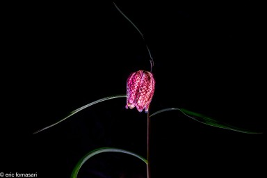 _M2A7852-Modifier-7.jpg