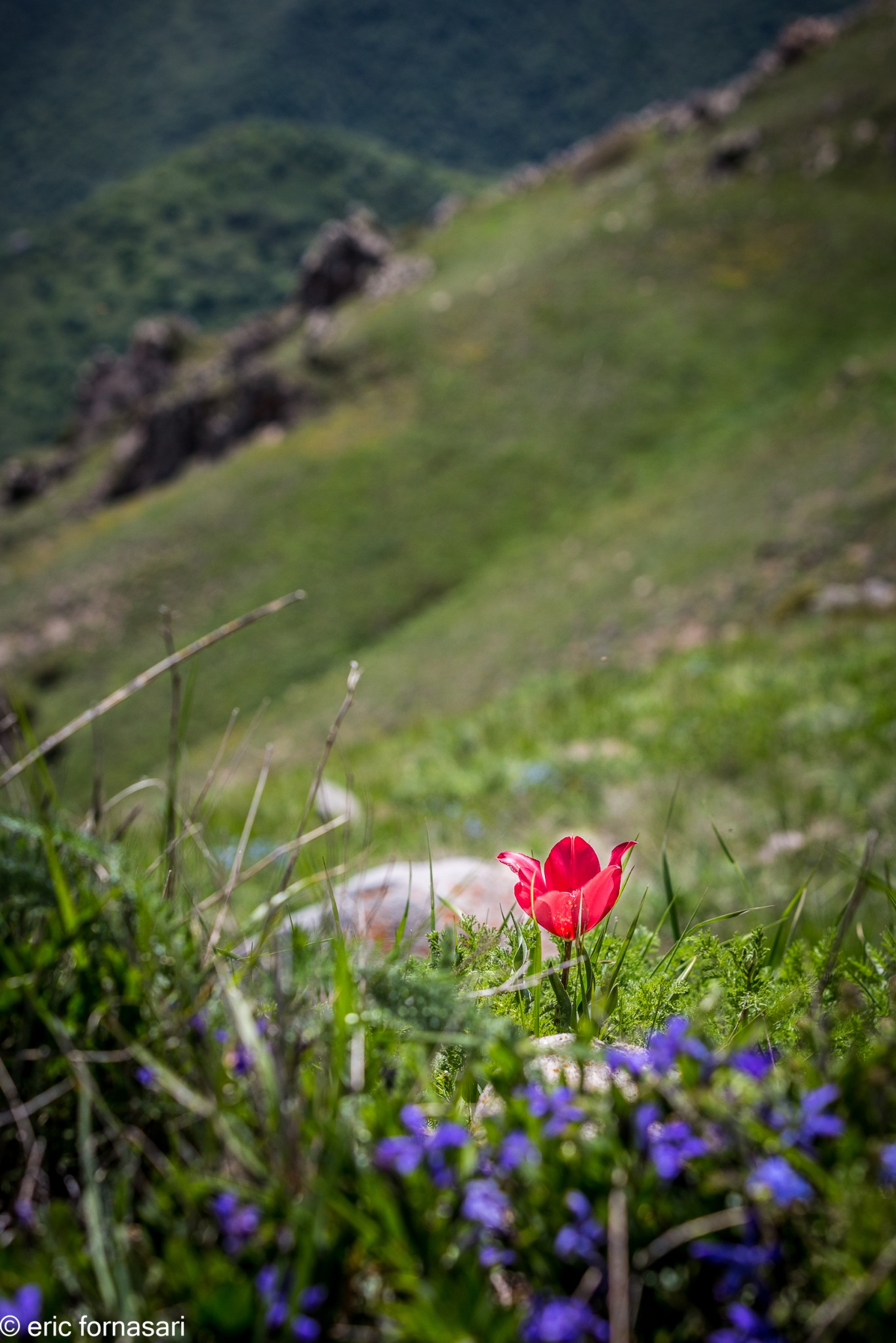 Arménie-19-mai-2018-671-1.jpg