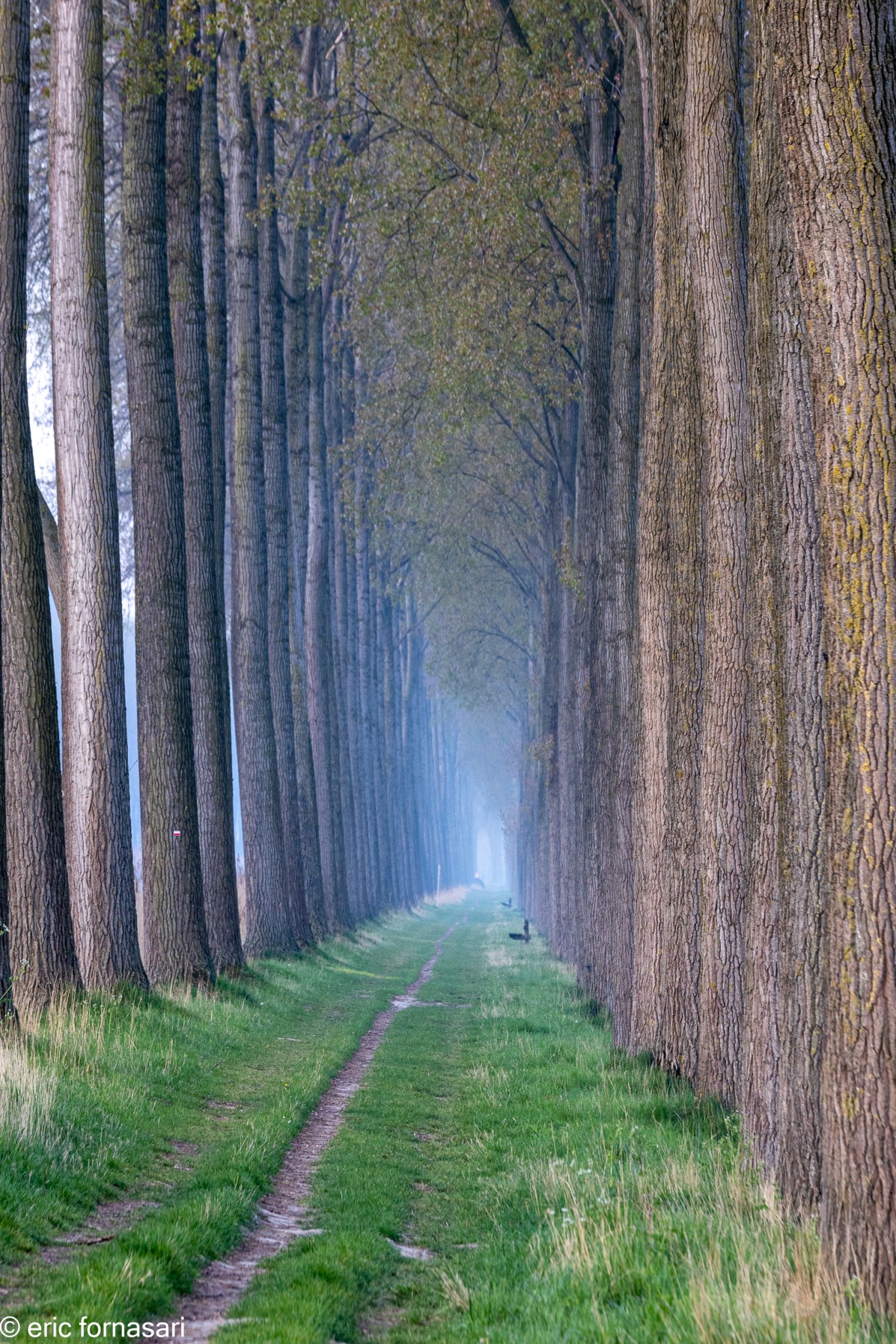 Stage-Belgique-558-19-avril-2022-32.jpg
