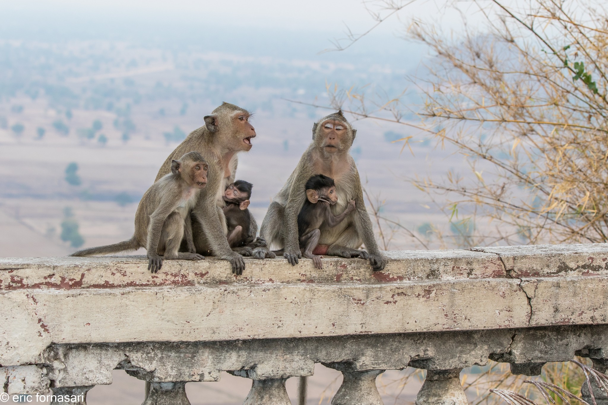cambodge-13-mars-2019-661-1.jpg