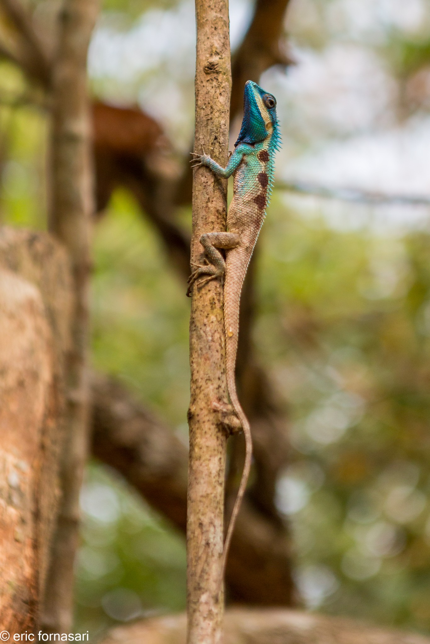 cambodge-17-mars-2019-1042-1.jpg