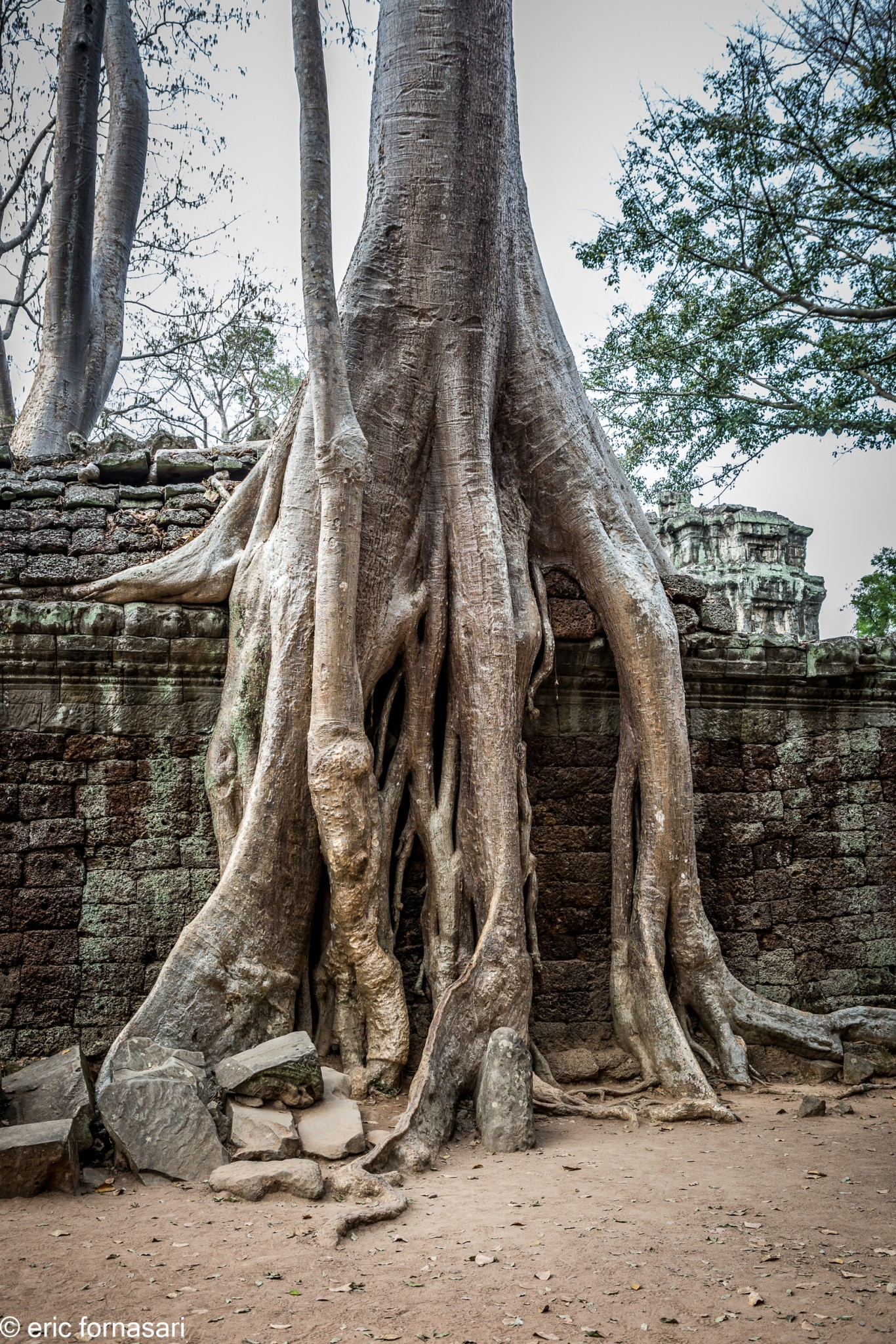 cambodge-18-mars-2019-1170-1.jpg