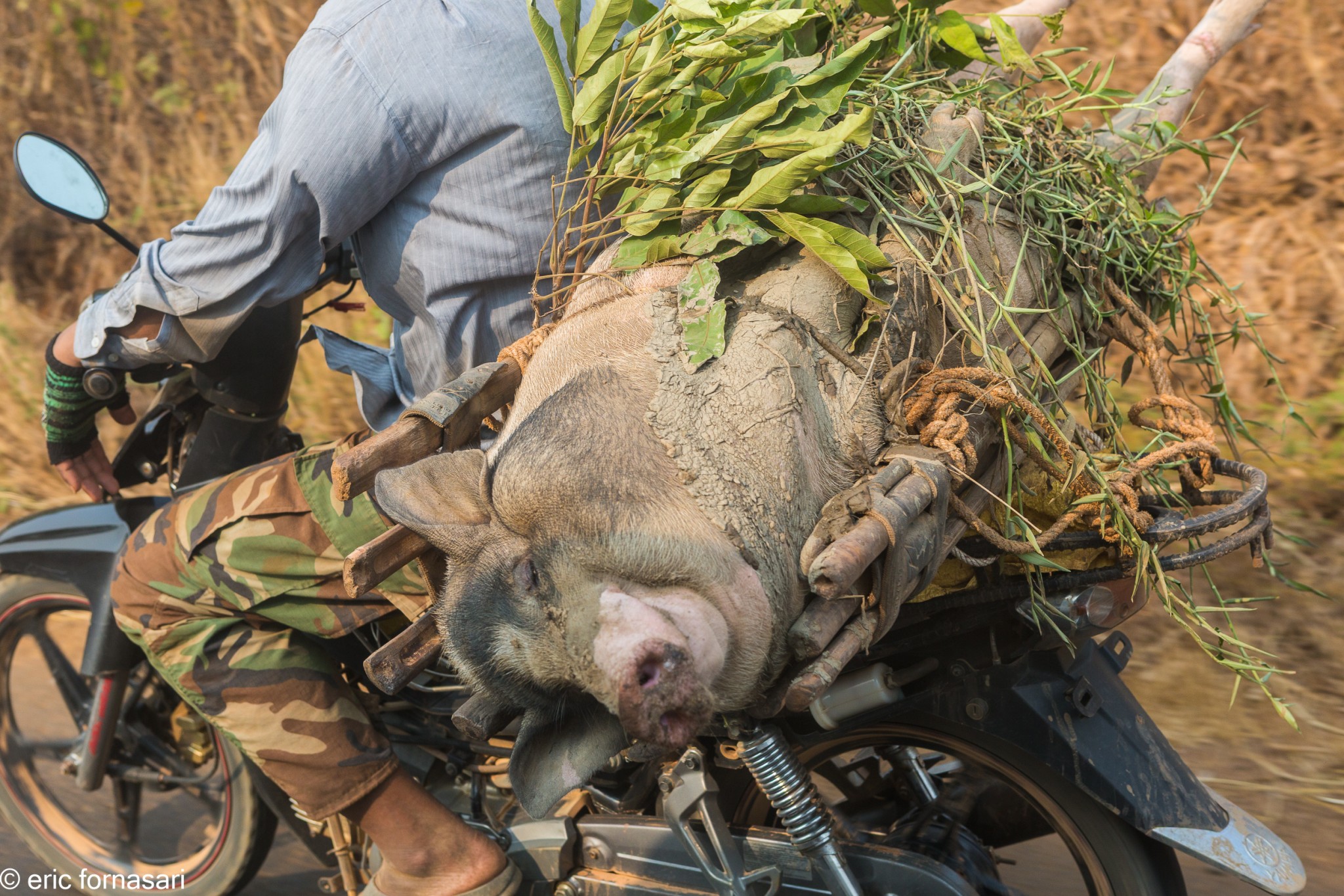cambodge-23-mars-2019-1520-1.jpg