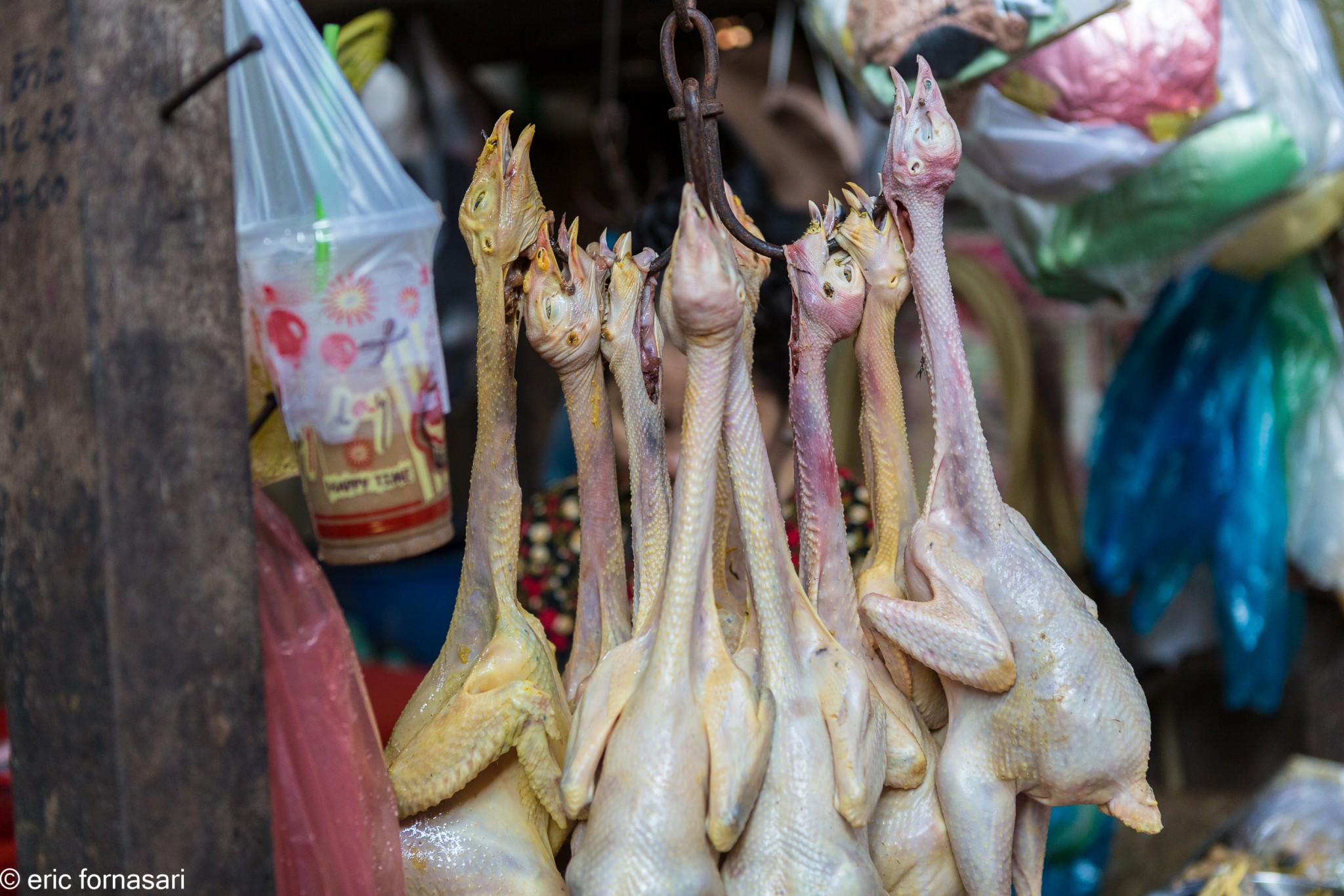 cambodge-26-mars-2019-1685-1.jpg