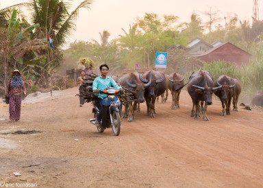 cambodge-12-mars-2019-514-1.jpg