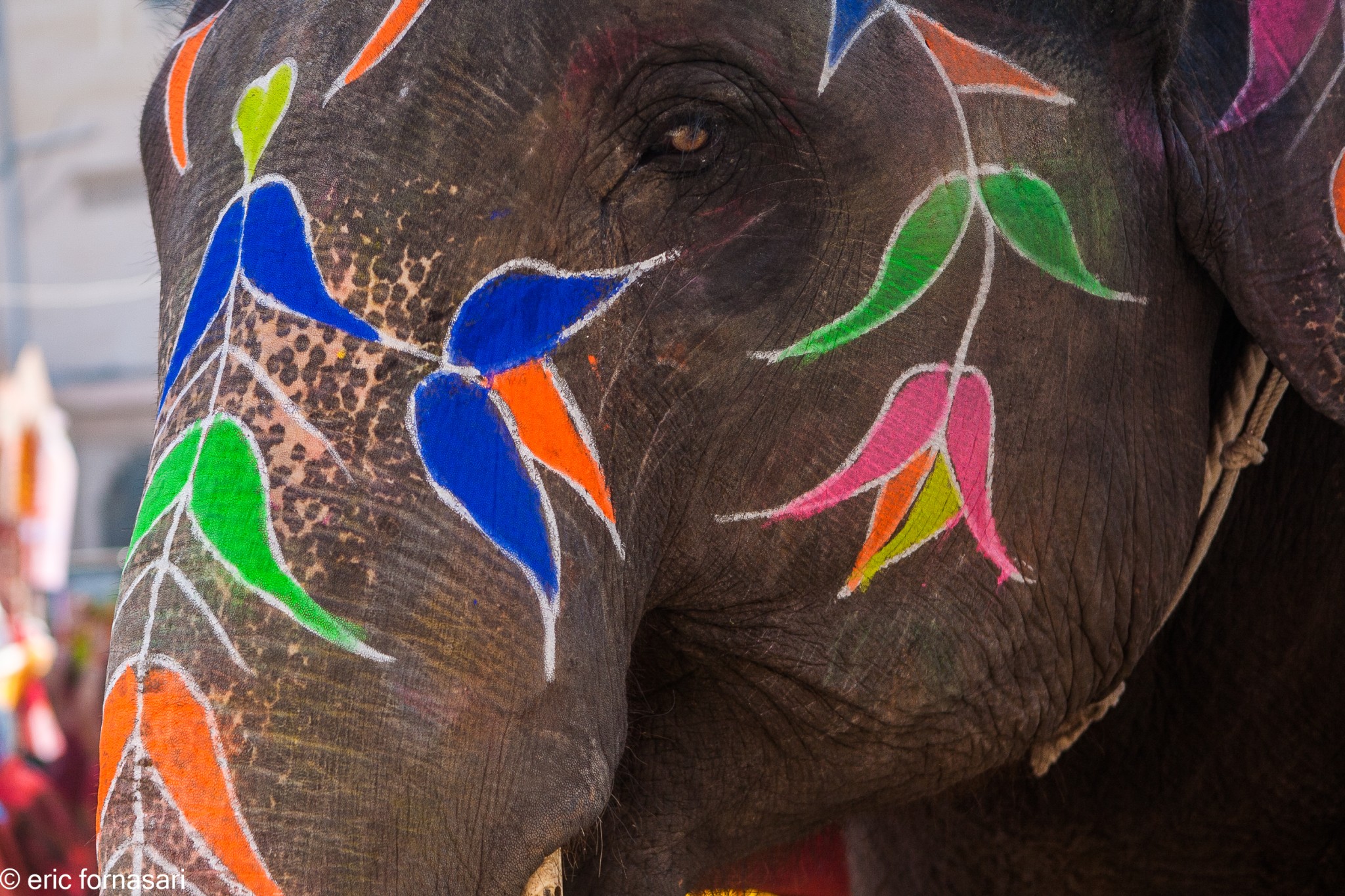 fete-cruches---jaipur-18-1.jpg