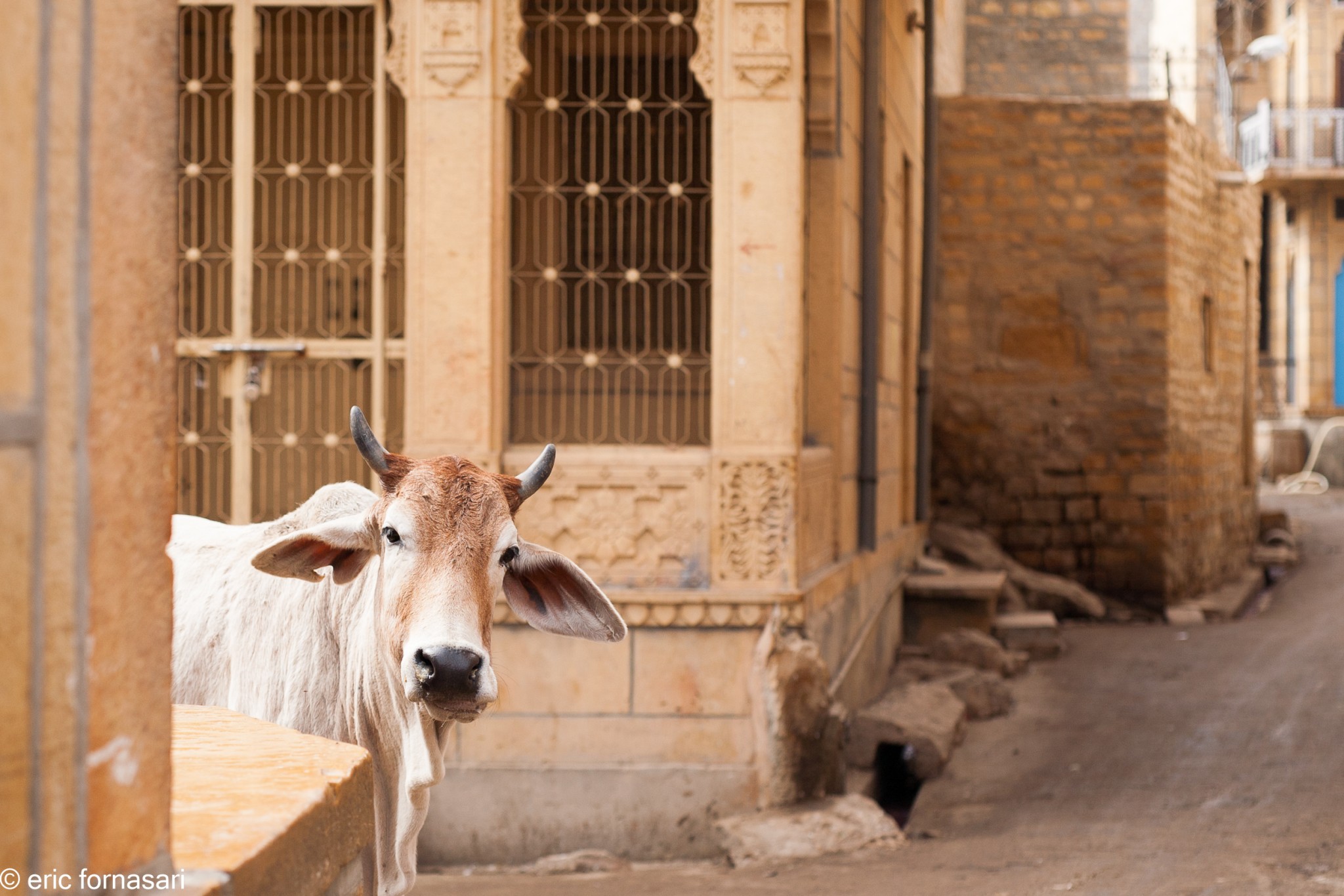 jaisalmer-98-1.jpg