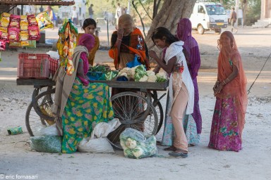 bhadrajun-100-1.jpg