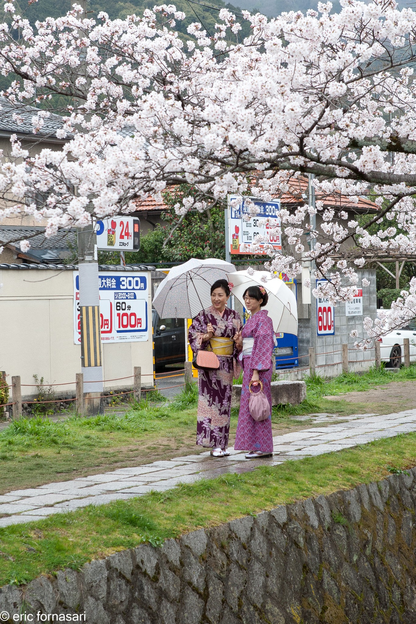 kyoto-promenade-des-philosophes-11-1.jpg