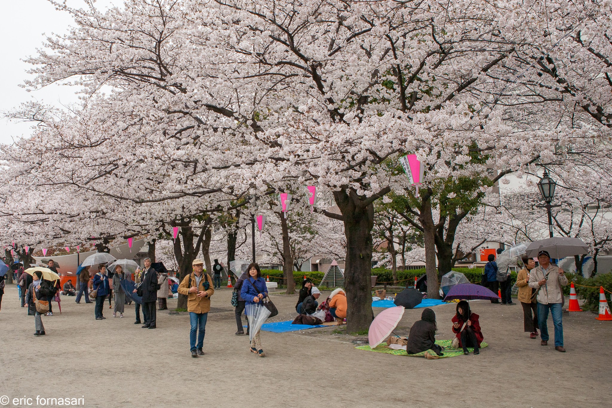 tokyo-asakusa-57-1.jpg
