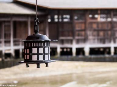 miyajima-8-1.jpg