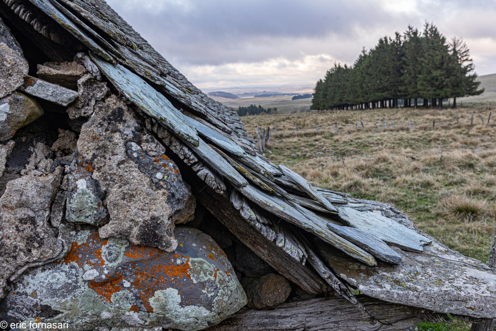 Stage-Aubrac-octobre-2024-238-24-octobre-2024-48.jpg
