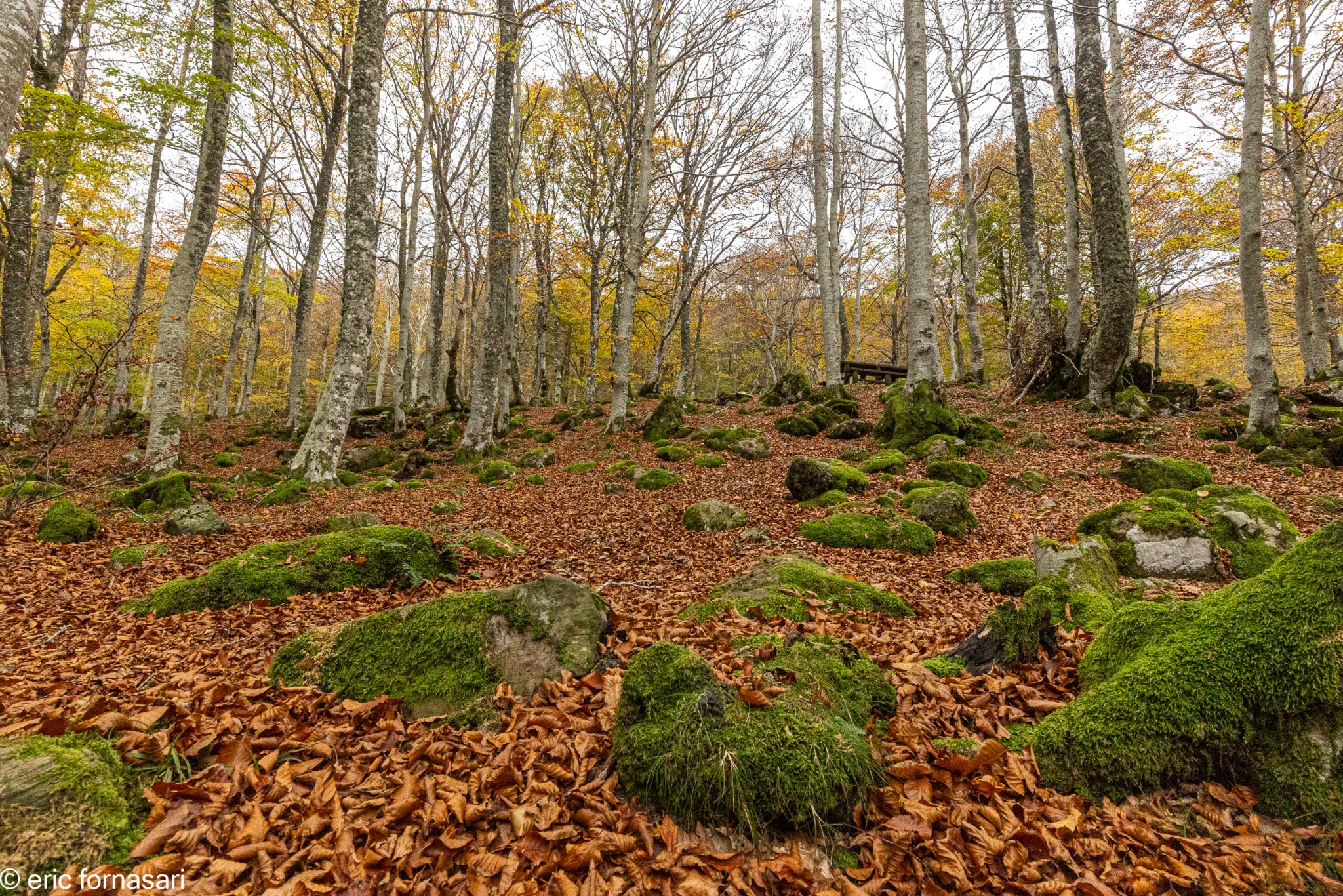 Stage-Aubrac-octobre-2024-283-25-octobre-2024-52.jpg