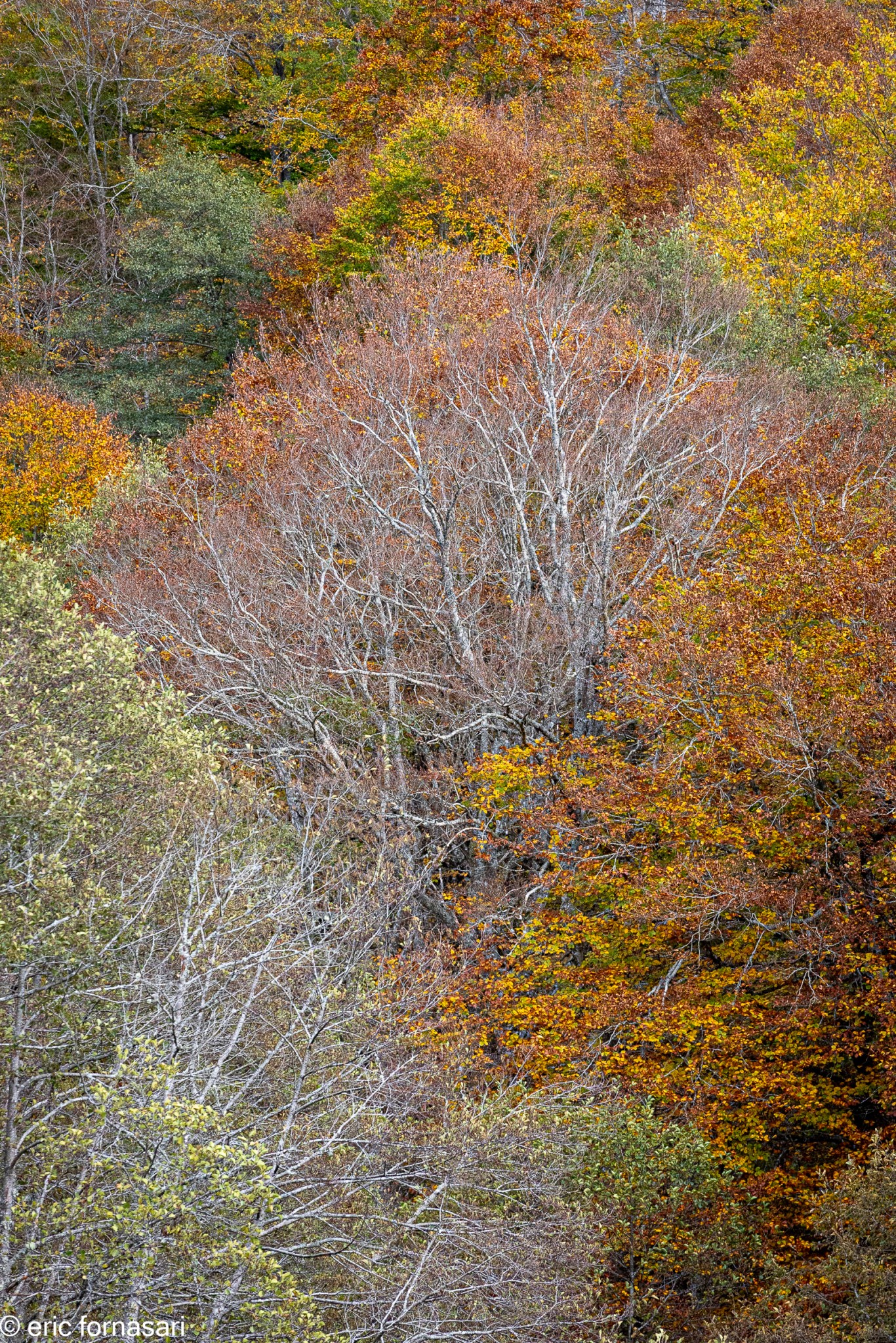 Stage-Aubrac-octobre-2024-354-25-octobre-2024-55.jpg