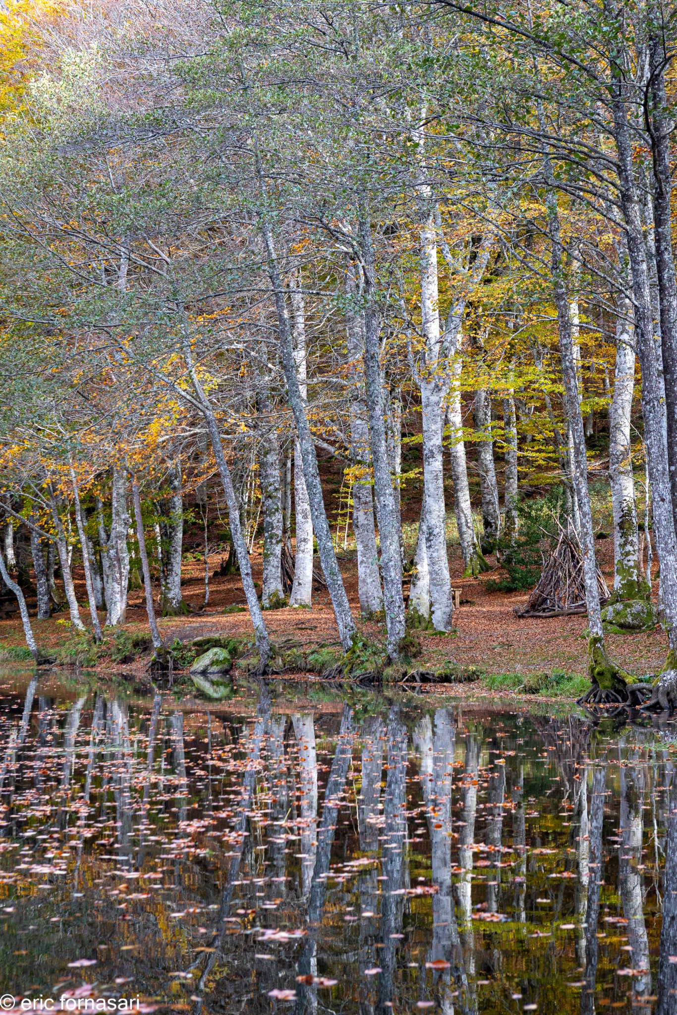 Stage-Aubrac-octobre-2024-369-25-octobre-2024-56.jpg