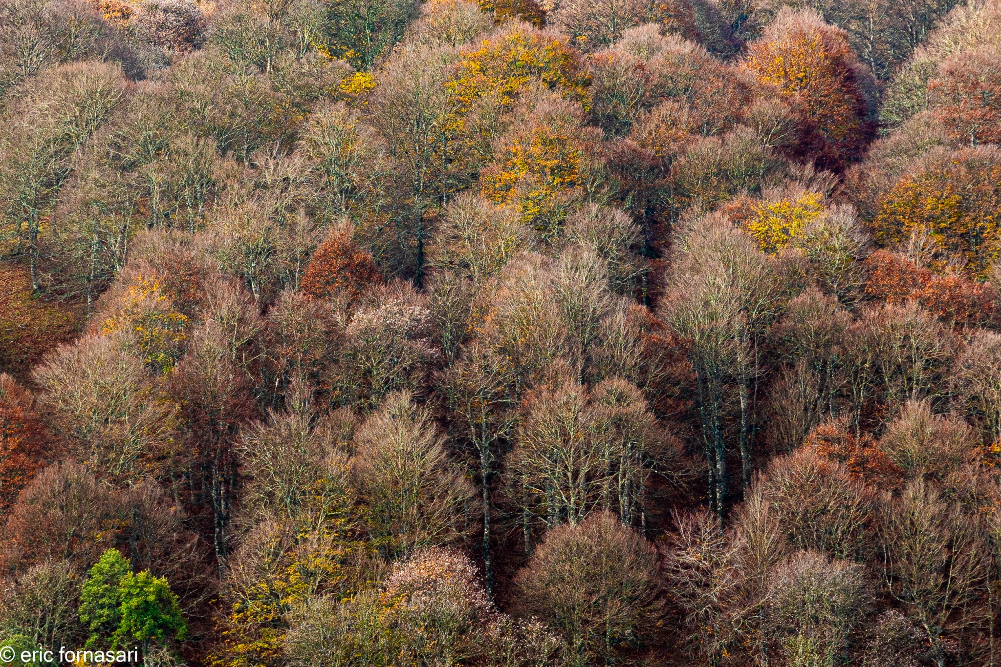 Stage-Aubrac-octobre-2024-73-23-octobre-2024-42.jpg